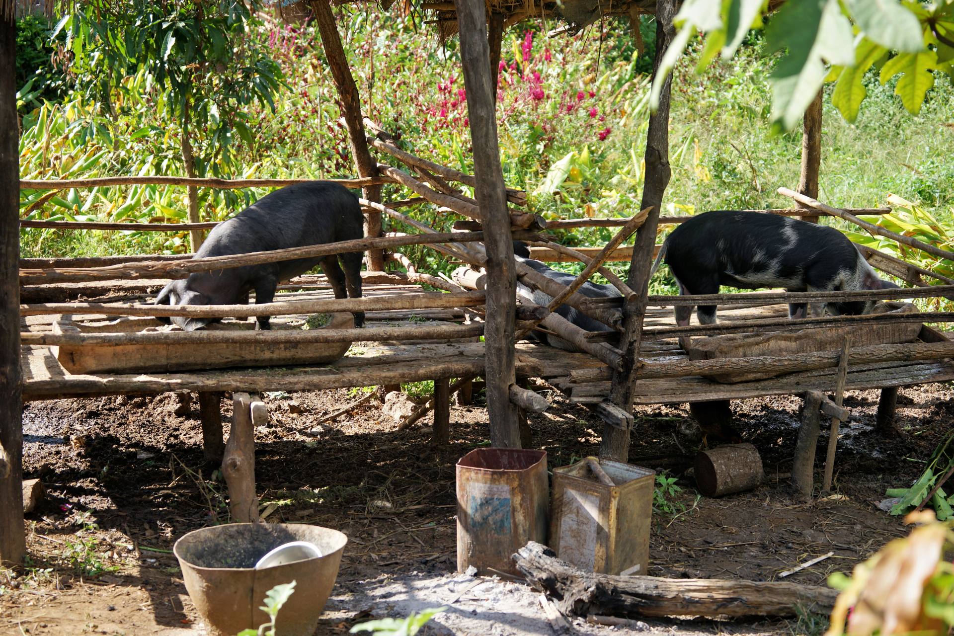 Tageswanderung durch die Umgebung von Nyaung Shwe